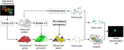 An Improved Receptor-Based Pharmacophore Generation Algorithm Guided by Atomic Chemical Characteristics and Hybridization Types